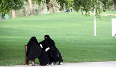 iParks Initiative: On track to improving connectivity in public spaces