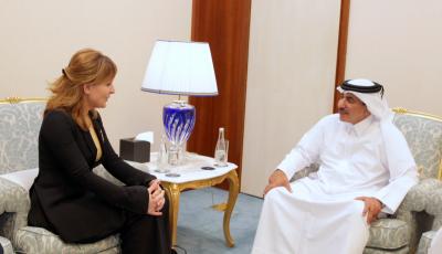 Minister Meets with Director of Maritime Transport Agency of Georgia