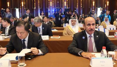 MinisterParticipatesinGlobalSustainableTransportForuminBeijing