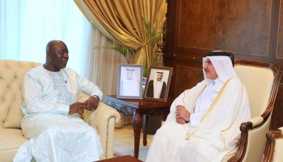 Minister Meets with Gambian Counterpart 